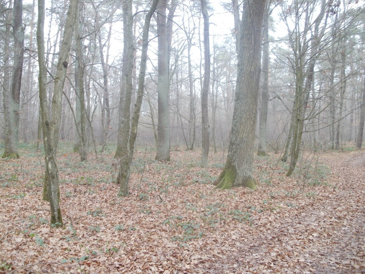 PC200294.JPG