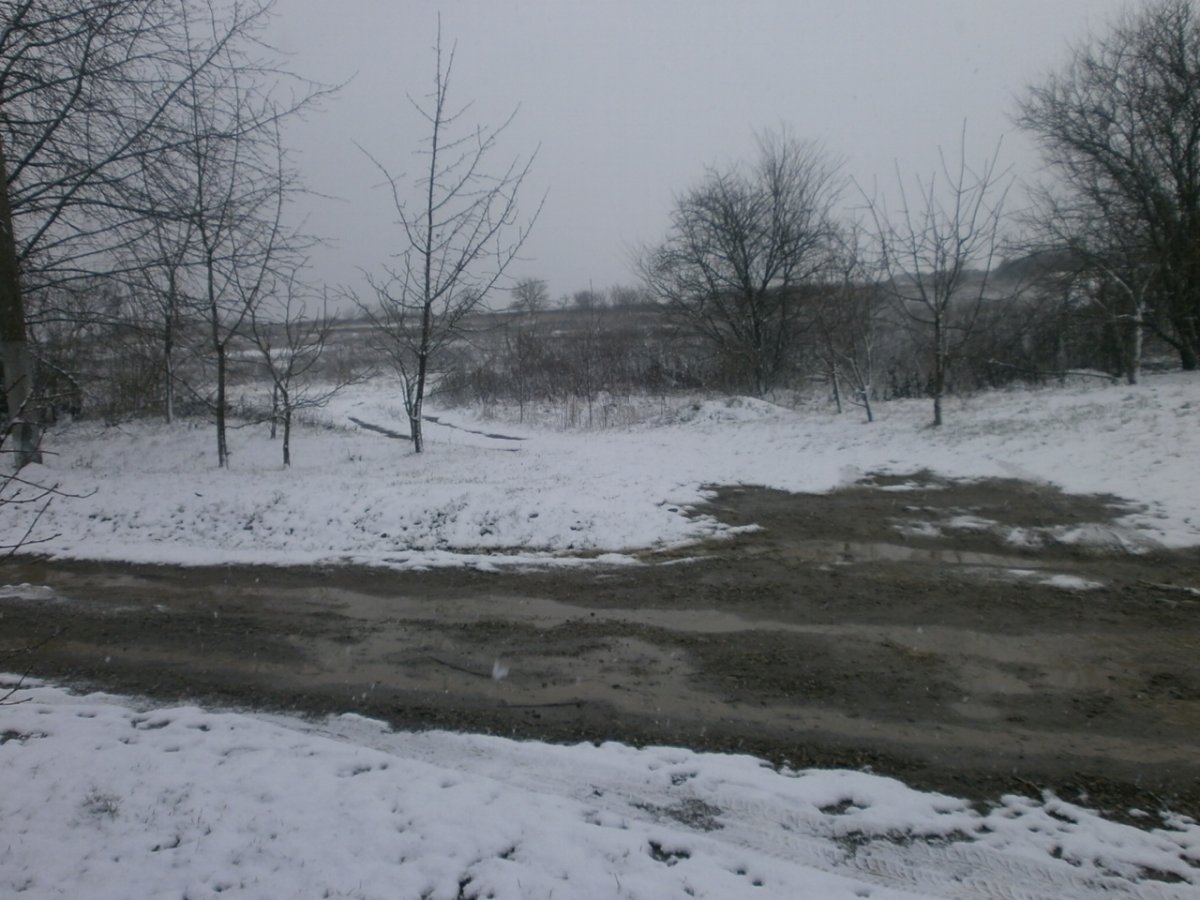 PC280001.JPG