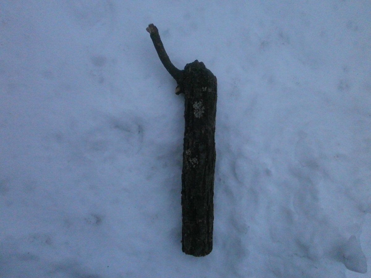 PC310002.JPG