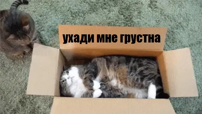 PI-SYeXprdU.jpg