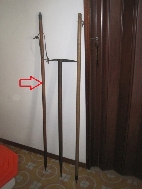 picozzaealpenstock1.jpg