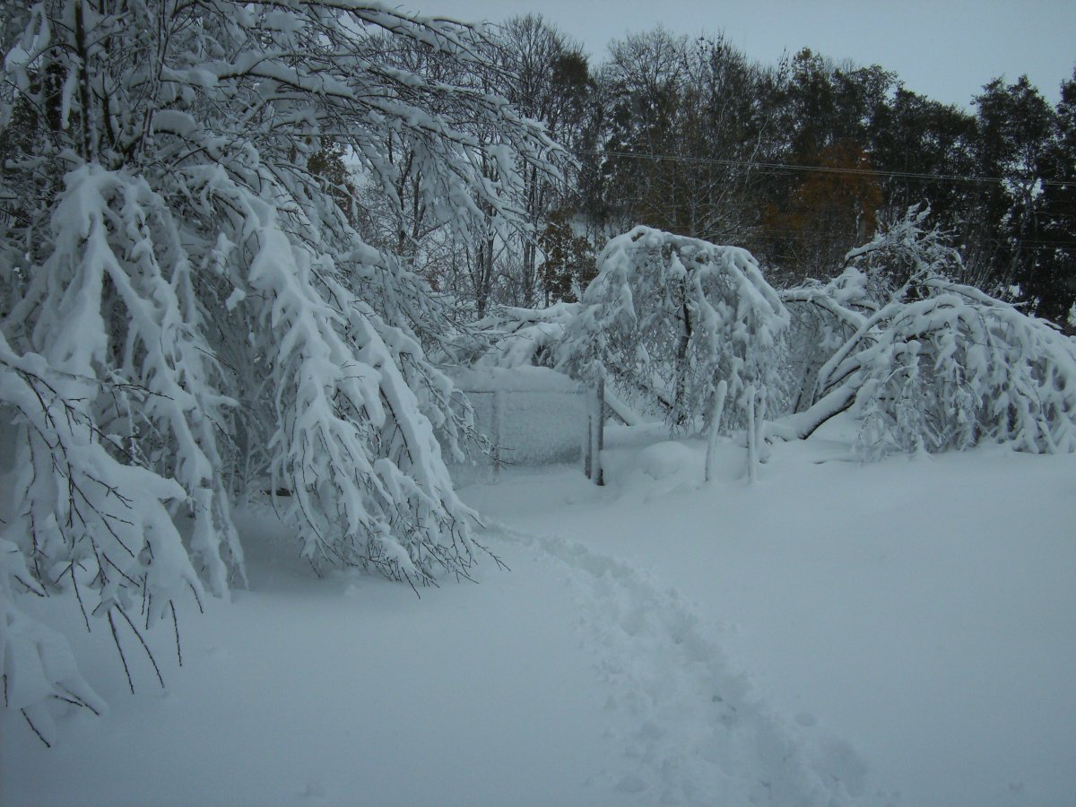 PICT0003.JPG