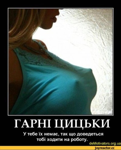 picture-17494.jpeg