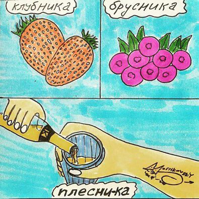 плесни.jpg