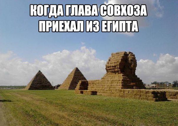 pLF6TgAnNYg.jpg