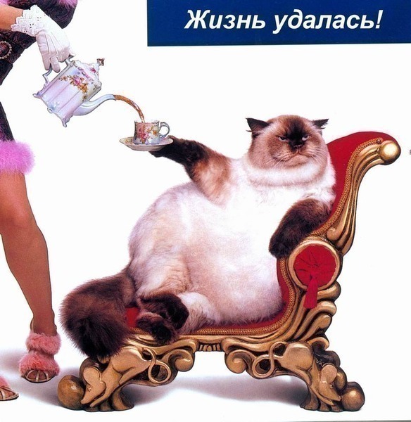 плurl.jpeg