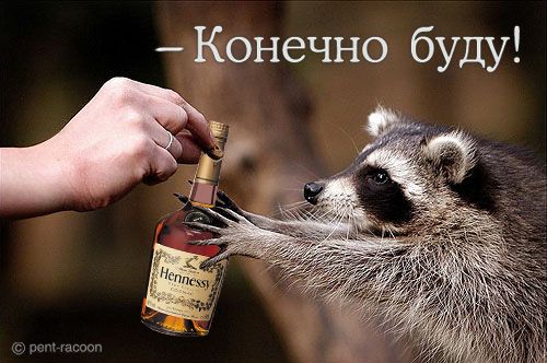 пьно.jpg