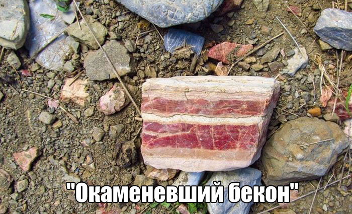 podborka_dnevnaya_01.jpg