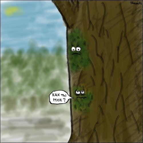 podbormK.jpg