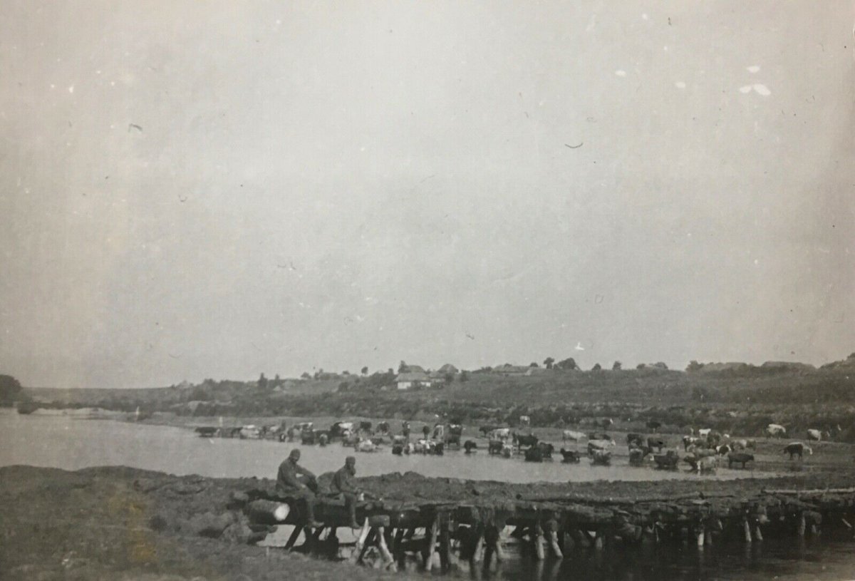 Подвысокое Общий вид (Podwysokoje Ukraine August 1941) 1941 г..jpg