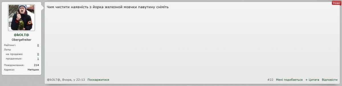 Поле віцяя2.JPG