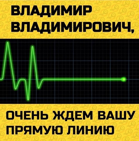 политота-прямая-трансляция-прямая-линия-Путин-Владимир-Владимирович-3395972.jpeg