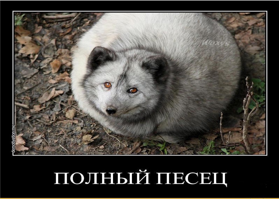 post-4435-0-17290300-1541621507.jpg