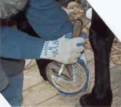 prep_hold-knife-2.jpg