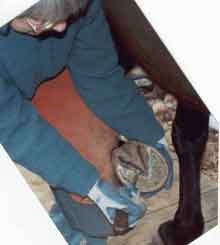 prep_hold-knife-3.jpg