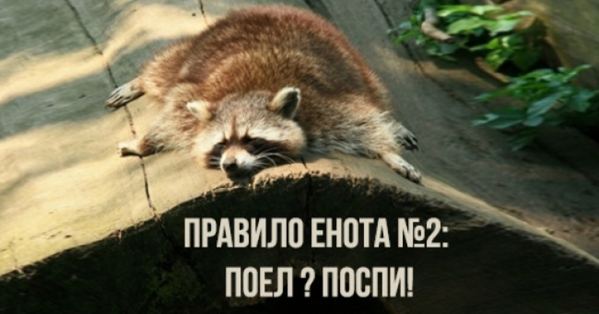 preview-23275865-1200x630-99-1484578754.jpg