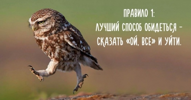 preview-23803965-650x341-98-1484579472.jpg