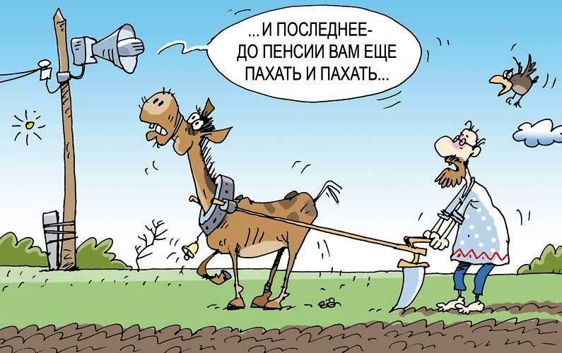 прикол.jpg