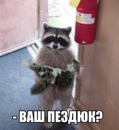 прикольная-картинка-2.jpg