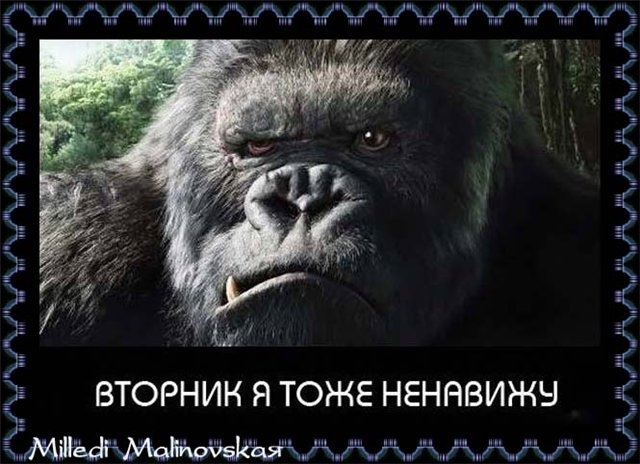 Прикольные-открытки-с-вторником_018.jpg