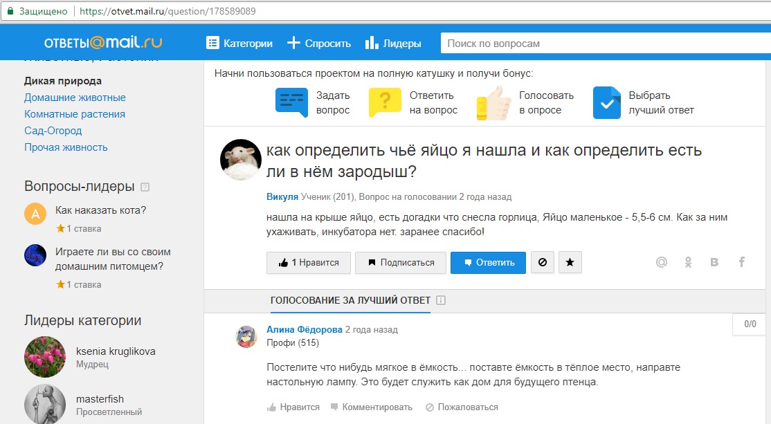 пример 1.jpg