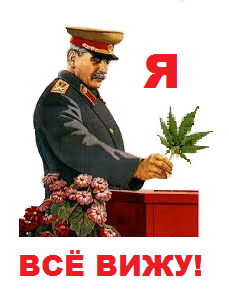 прпрооь.png