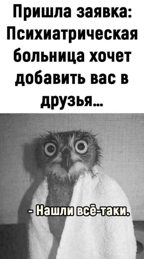 псих.jpeg