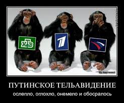птБез названия (1).jpg