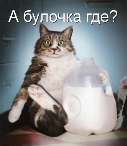 QeS4y.jpg