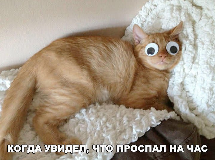 qOKBcEvRJQM.jpg