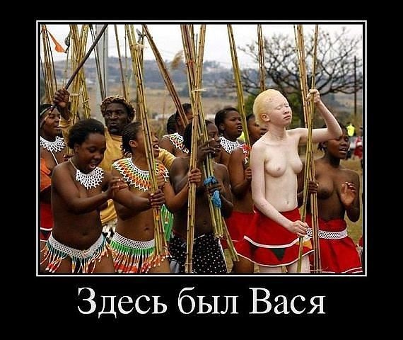 qqqqq.jpg