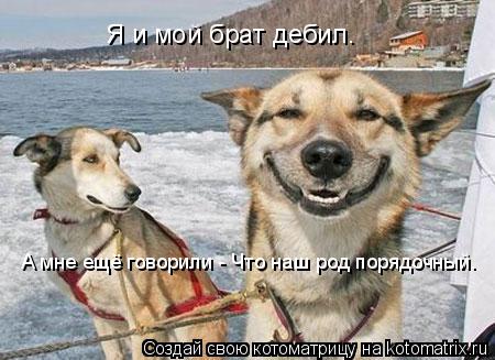 QX.jpg