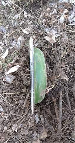 received_256152359450731.jpeg