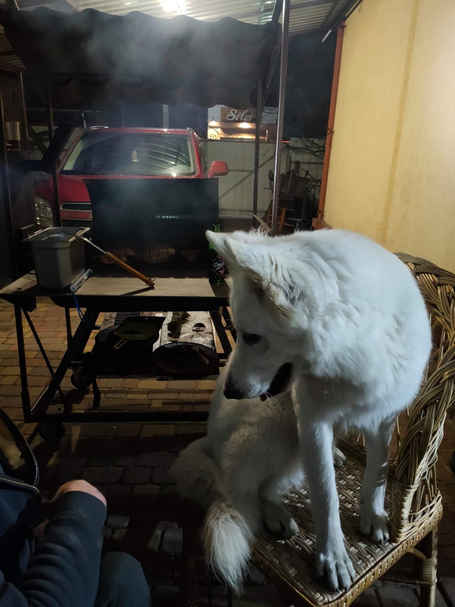 received_451098265820847.jpeg