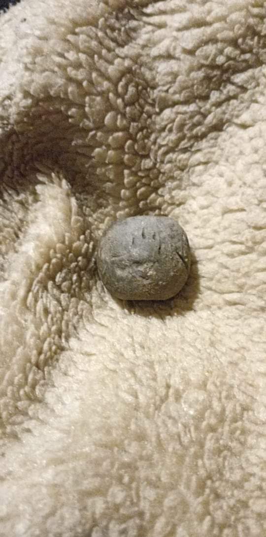 received_587989195727158.jpeg