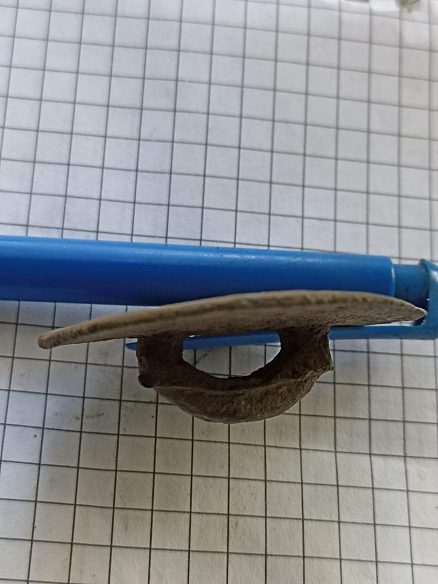 received_646066979659023.jpeg