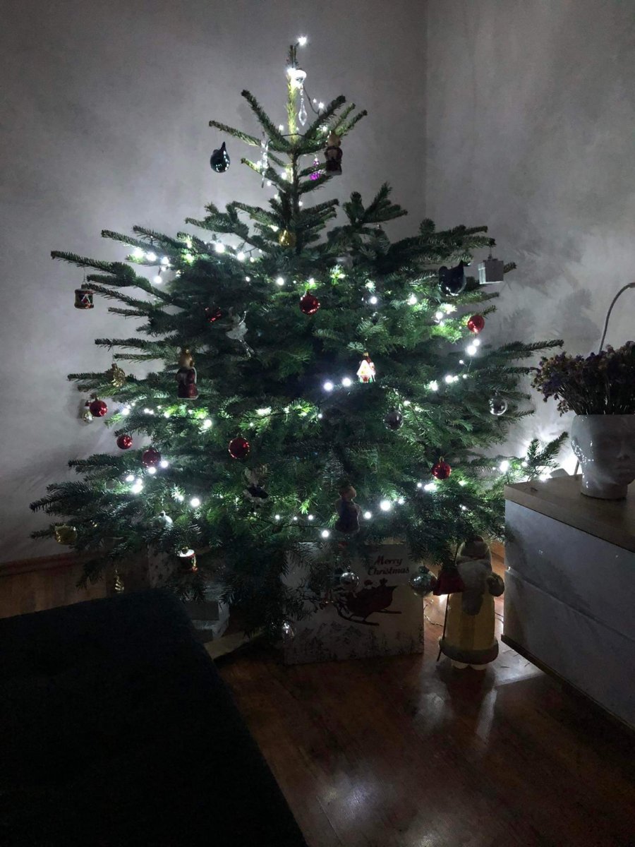 received_667489641333827.jpeg