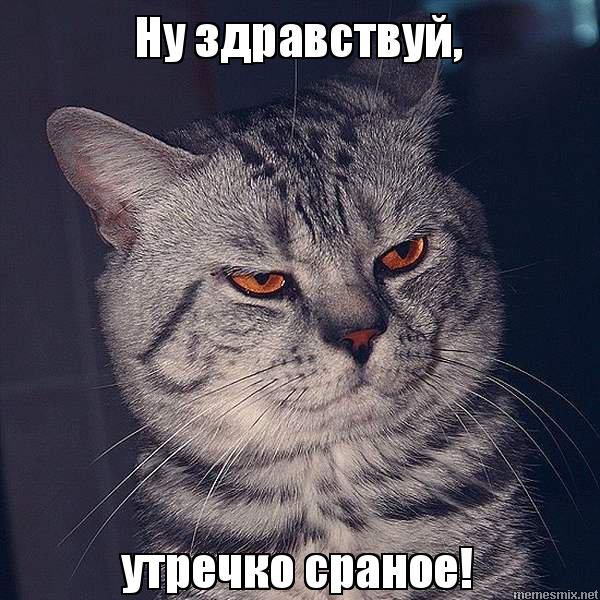 rf1vzj.jpg