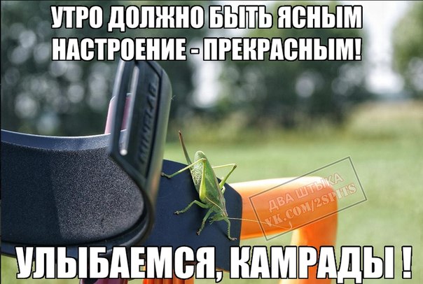 RfML8O7FWLY.jpg