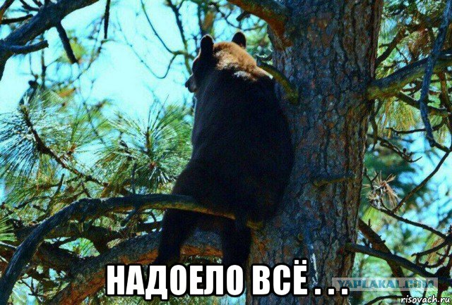 risovach.ru.jpg