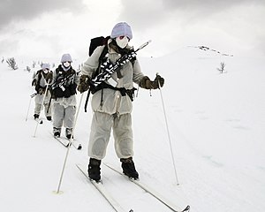 Royal_Marine_Reservists_Training_in_Norway_MOD_45156923.jpg