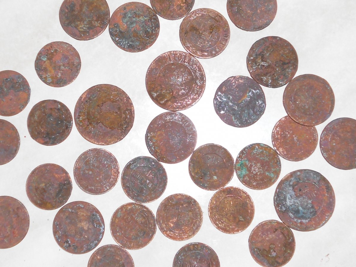 RSCN7527.JPG