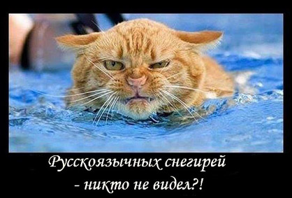 ру.jpg