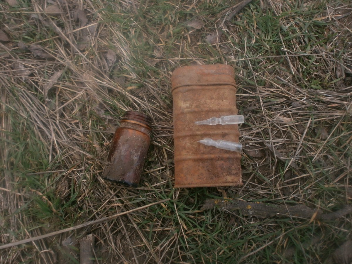 румыны.JPG