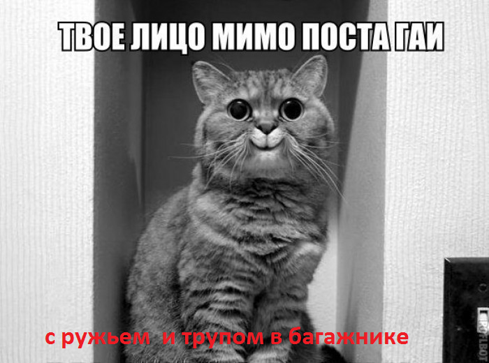 руж.png