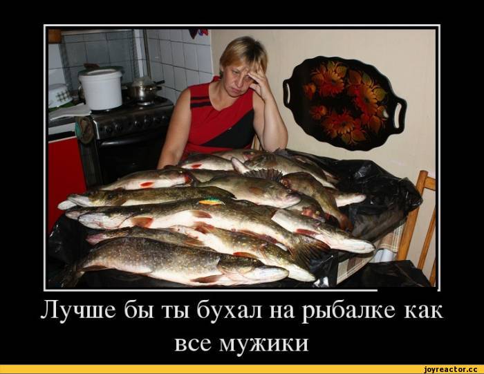 рыбалка-демотиватор-песочница-Наталья-морская-пехота-621324.jpeg