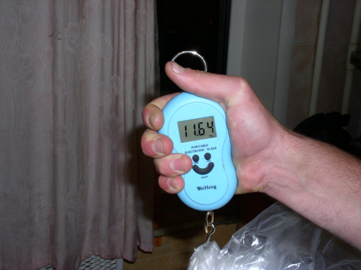 Рыбёшка для Рысёны 002.JPG