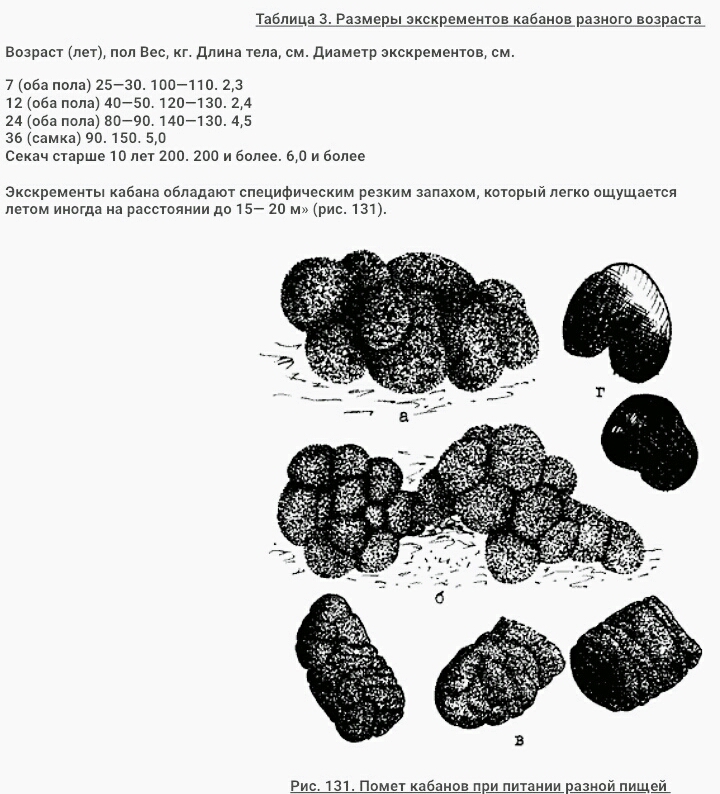 S00617-помет.jpg