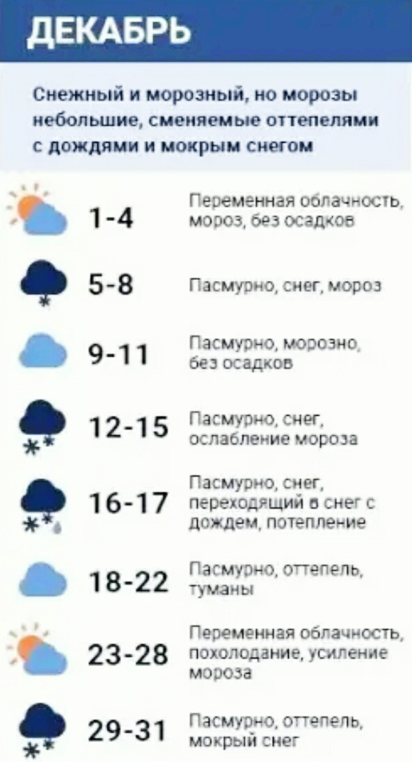S01120-грудень.jpg