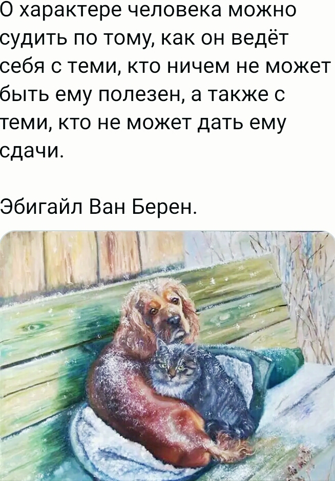 S01204-животные.jpg